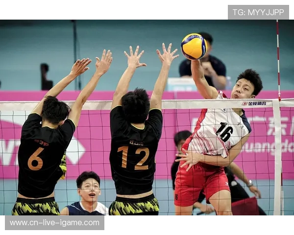 重庆排球队引领最新排球配合TOP10榜单展现团队默契与实力